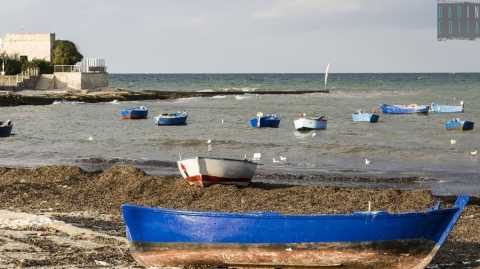 Bari, cala Pantano: tra alghe e gozzi il porticello che "vive" un solo giorno all'anno